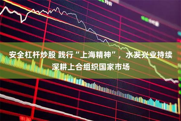 安全杠杆炒股 践行“上海精神”，水发兴业持续深耕上合组织国家市场