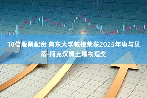 10倍股票配资 鲁东大学教授荣获2025年唐与贝蒂·柯克汉姆土壤物理奖